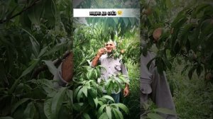 Хадис до слёз