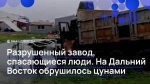 Цунами обрушилось на Дальний Восток