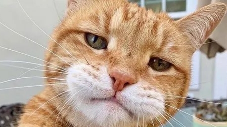 общаемся с подписчиками 2 смотреть онлайн