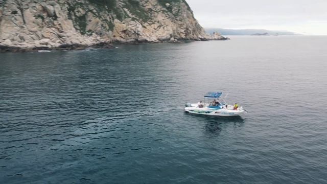 Приморье. Морские котики мыса Зелёный. смотреть онлайн