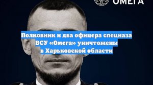 Полковник и два офицера спецназа ВСУ «Омега» уничтожены в Харьковской области