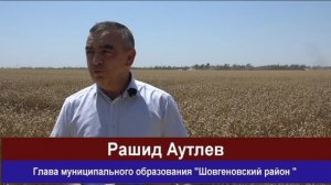 Уборка пшеницы в ООО "Премиум"