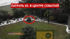 ПАТРУЛЬ 65: Дебошир на крыше авто, медведь в поселке и мошенник-рецидивист. Сахалин 30.07.25