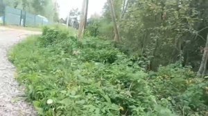 наше садоводство