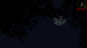 КТО СВИСТИТ В НОЧИ. Страшные истории на ночь 🫣🫣🫣