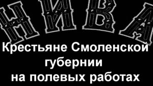 Крестьяне Смоленской губернии на полевых работах.В.А.Бер.описание