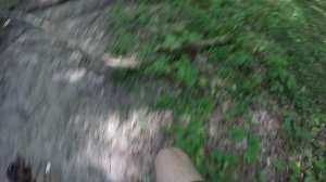 Участвуем с Флешкой в гонках "Dog Trail"