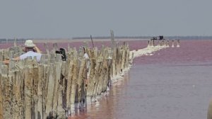 Сасык-Сиваш