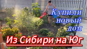 630ч🏡29.07.25-Новое опрыскивание//Черенкую колеусы и пеларгонии//Нам больше не надо)) #Ивановская