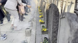 13394483_3840_2160_30fps