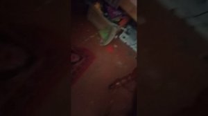 VID_20250730_150537.mp4