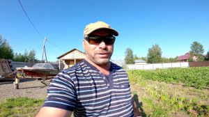 Урожай огурца. #огород, #теплица, #дача