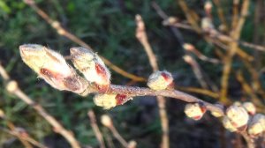 красивые места в белгородской области для отдыха на природе