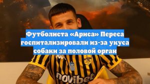 Футболиста «Ариса» Переса госпитализировали из-за укуса собаки за половой орган
