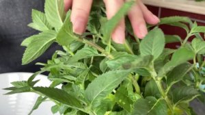 Забудьте про отёки и тяжесть! Этот салат — лучше таблеток