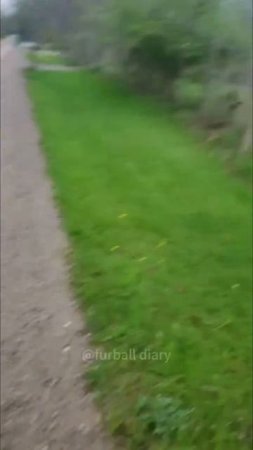 1000066835.mp4