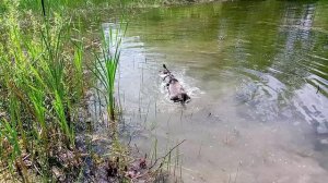 АМСТАФФ 9 месяцев_20250628