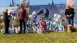 01.06.2025, Псков. Клуб КСиДС (РКФ, РФСС). Выставка собак САС 9 группы FCI