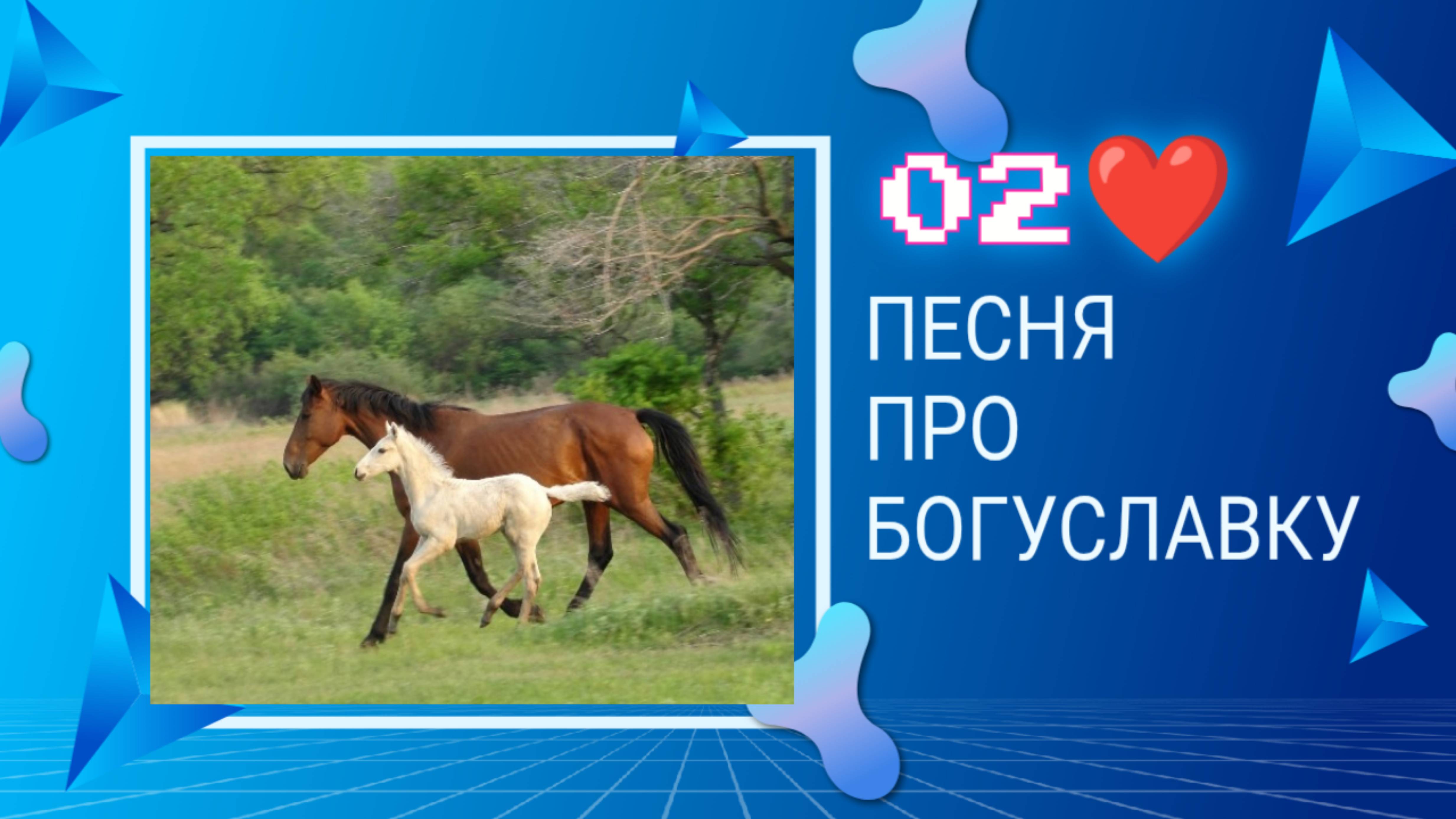 Золотой табун несётся вдаль / Вторая песня про Богуславскую конеферму