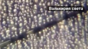 VID_20250410_015209_856.mp4