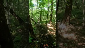 Надеждинская тропа в 30+ градусов