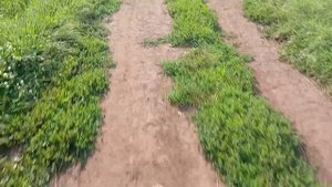 видио от первого лица и мы прокатились по лесу и рядом с речкой