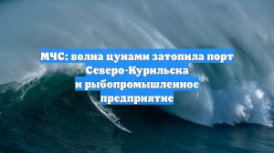 МЧС: волна цунами затопила порт Северо-Курильска и рыбопромышленное предприятие
