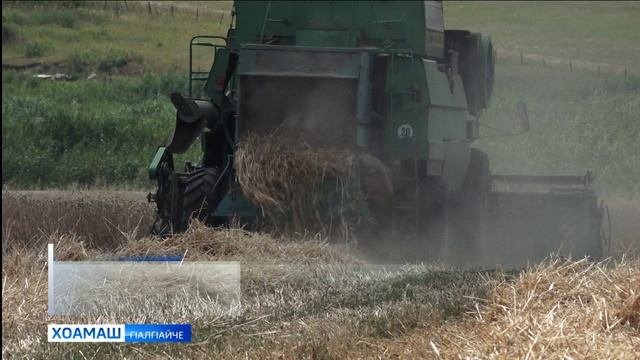 Ялат чуэцаш ба г1алг1ай ахархой