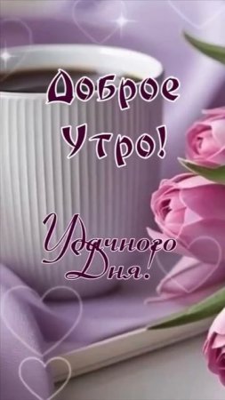 Клип @pozvk
