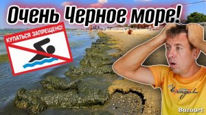 Анапа. Сезон провален! Гнилое море и нефтепродукты на пляже. Отдых в Анапе лучше отложить