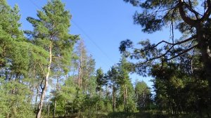 походы по белгородской области