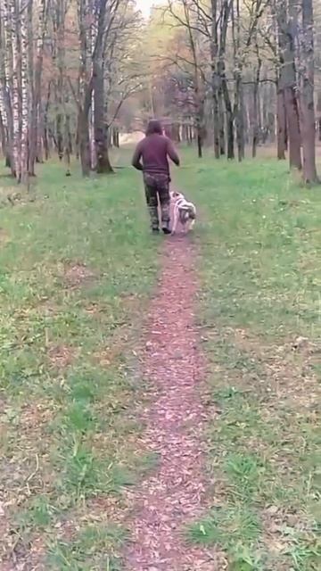 друг смотреть онлайн