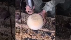 Самобалансирующийся друшлаг