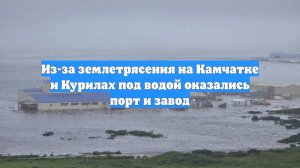 Из-за землетрясения на Камчатке и Курилах под водой оказались порт и завод