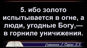 Хицко Владимир 10.07.2025г.