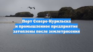 Порт Северо-Курильска и промышленное предприятие затоплены после землетрясения