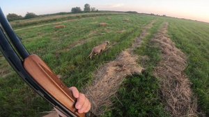 Юта_охота290725