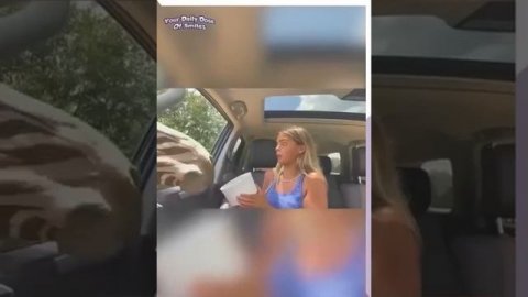 Эти забавные животные😂