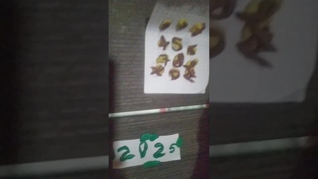 ЧЕЛОВЕК ЗА ОКНОМ В РЕАЛЬНОЙ ЖИЗНИ