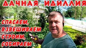 2907 новые топчаны сортировка кроликов сбор помидор как спасти голубику от птиц забой кроликов вес т