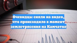 Очевидцы сняли на видео, что происходило в момент землетрясения на Камчатке