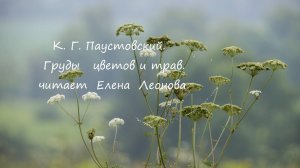 К. Г. Паустовский. Груды цветов и трав. Читает Елена Леонова