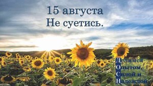 15 августа. Не суетись.