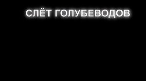 очередной слёт голубеводов г. Узловая. 02 . 08.25.