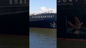 1000047696.mp4Волга.30.07.2025г.