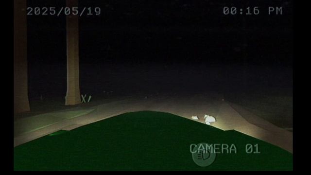 3 серия Неудачный побег
(Сериал чикан)