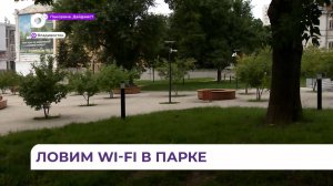 Бесплатный Wi-Fi заработал в парках и скверах Владивостока