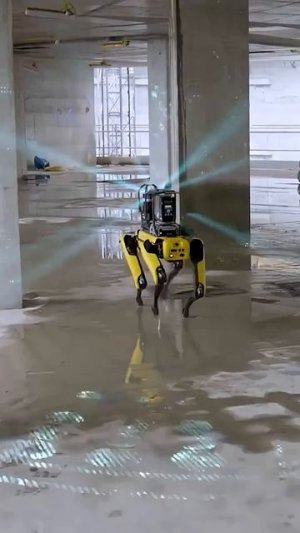 Где работают робособаки Boston Dynamics?