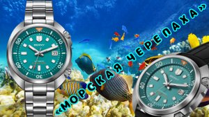 ТОП!!! / «МОРСКАЯ ЧЕРЕПАХА» / ЛУЧШИЙ ДАЙВЕР ЗА 150$ / BERNY AM1970 / №200