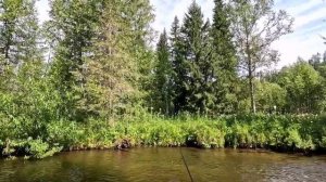 Поездка на рыбалку на таёжную речку